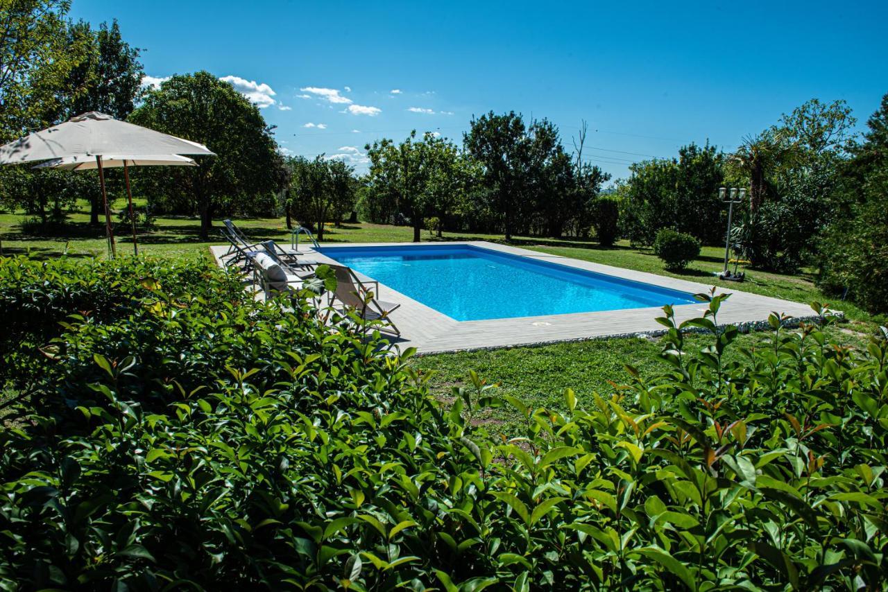 Terre Etrusche Guest House Viterbe Extérieur photo