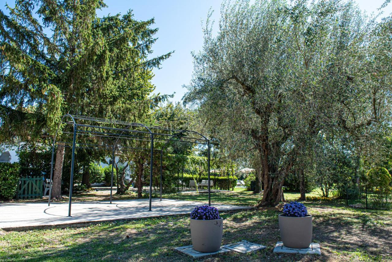 Terre Etrusche Guest House Viterbe Extérieur photo